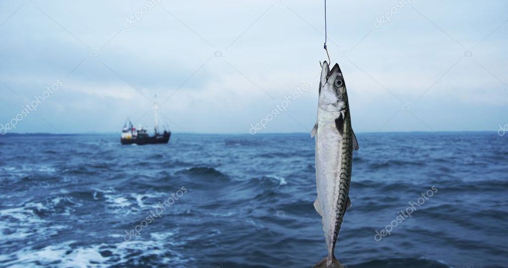 depositphotos_87795132-stock-photo-mackerel-fish-on-fishing-hook