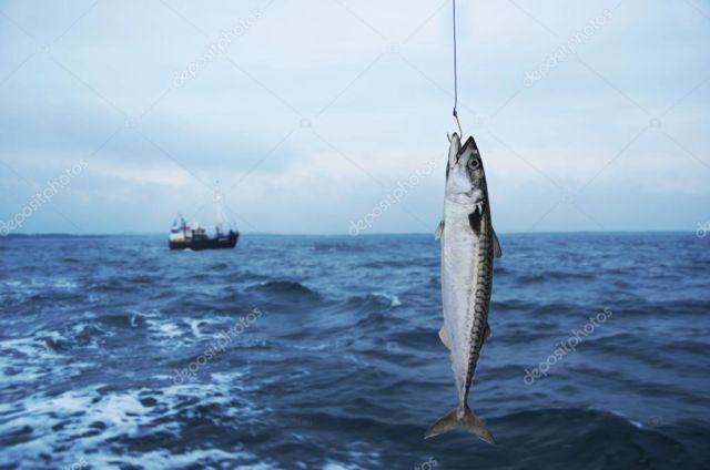 depositphotos_87795132-stock-photo-mackerel-fish-on-fishing-hook